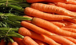 Сажаем морковь