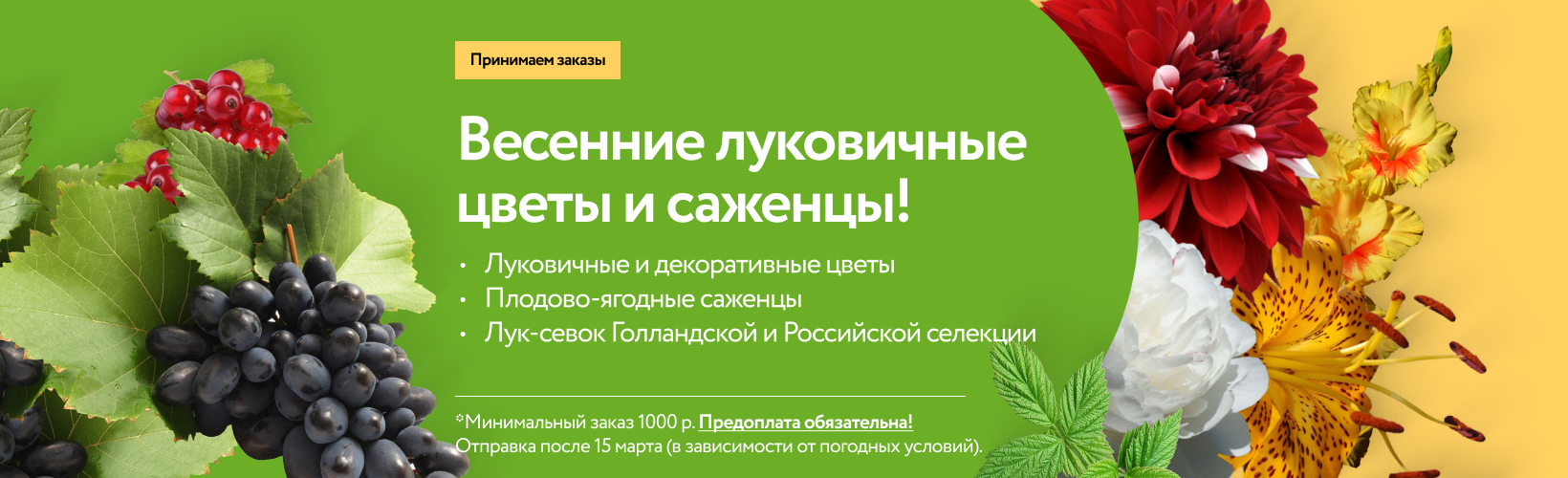 Магазин Саженцев Русский Огород