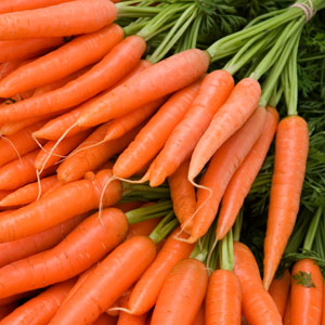 Урожай подзимней моркови