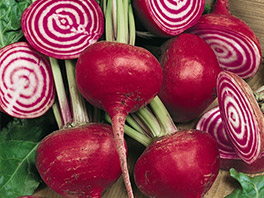 Почему свекла с белыми прожилками