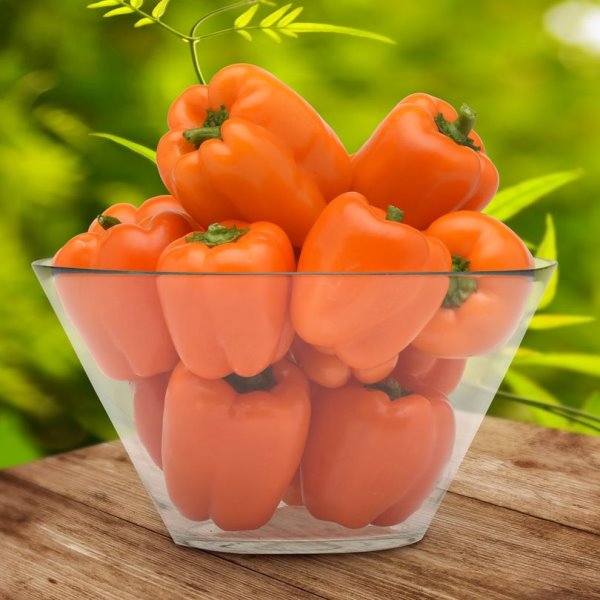 Перец сладкий Оранжевый мармелад семена - низкая цена, описание, отзывы,продажа