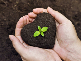 Удобренная земля – фундамент будущего урожая: эффективные способы повысить плодородие