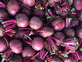 Когда убирать свеклу с грядки