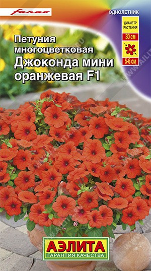 Петуния Джоконда мини оранжевая F1 семена - низкая цена, описание ...