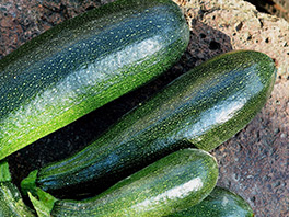 Кабачок - ценнейший продукт с собственного огорода