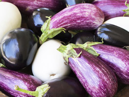 Как правильно ухаживать за баклажанами, чтобы они хорошо росли