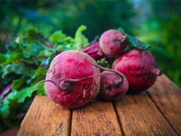 Небывалый урожай свеклы – стоит придерживаться этих советов