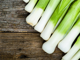Лук-порей: выращиваем вкусную и полезную зелень сами