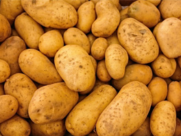Как гарантированно защитить картофель от болезней и вредителей