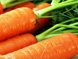 Что влияет на вкус моркови, почему она невкусная