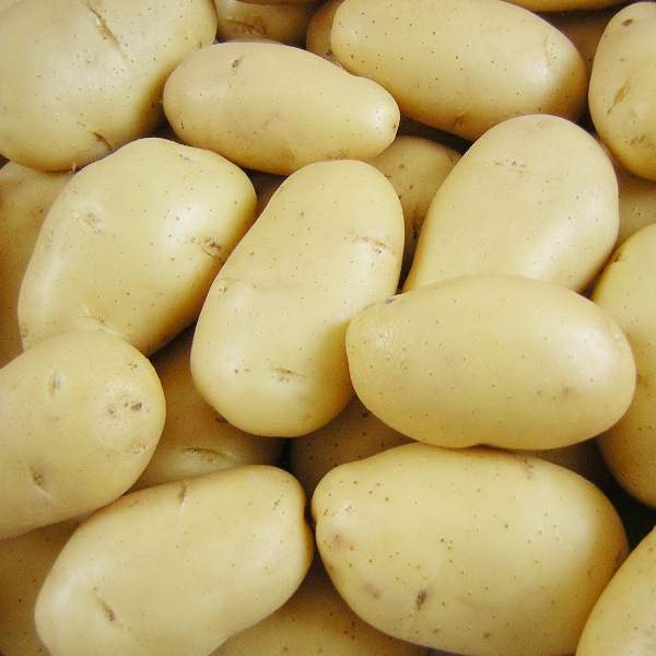 Картофель Баллада семена - низкая цена, описание, отзывы, продажа