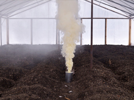 Табачные шашки для защиты растений - как эффективно использовать дым в борьбе с вредителями и грибками