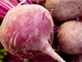 Уборка и хранение столовой свеклы