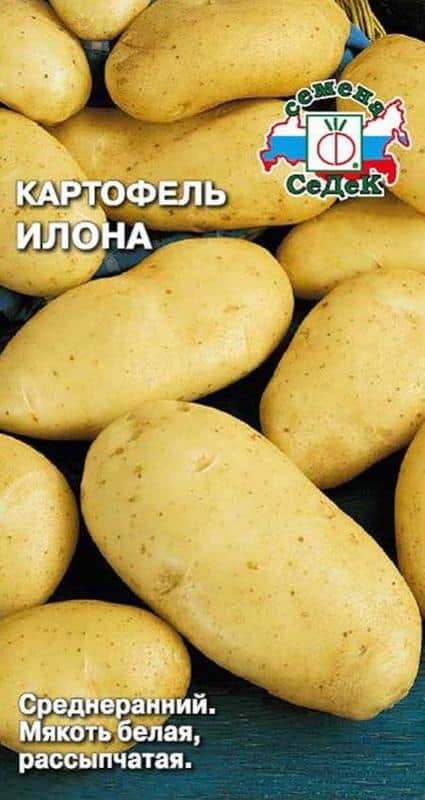 Картофель Илона семена - низкая цена, описание, отзывы, продажа
