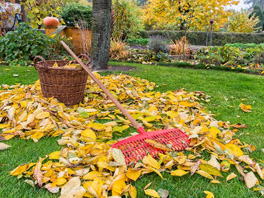 Сентябрь – важные дела, которые нужно сделать в саду
