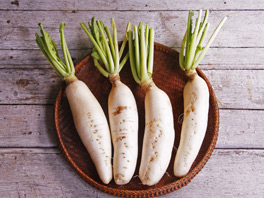 Секреты дайкона, выбор удачного периода для посева семян