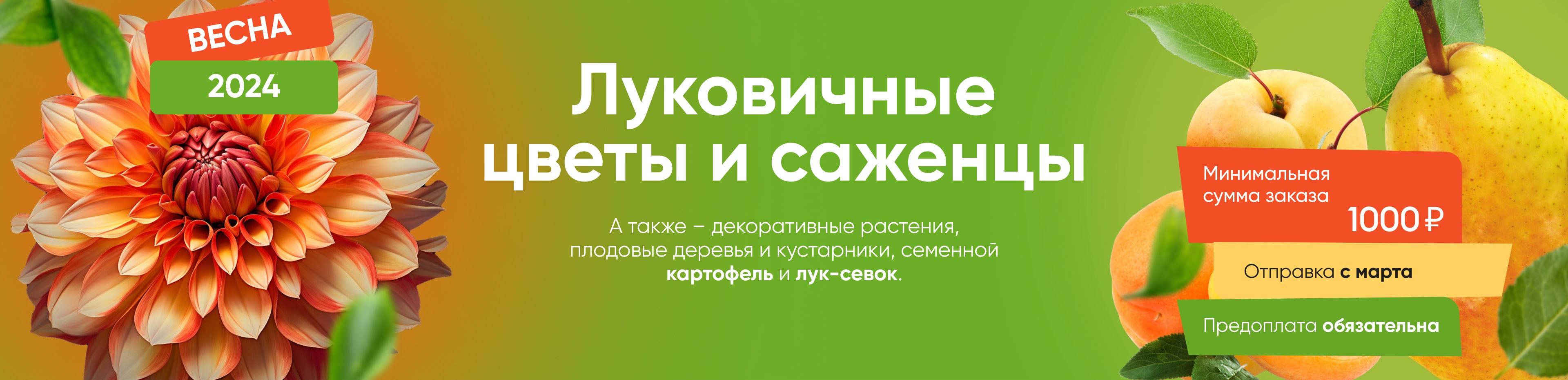 Купить семена в интернет-магазине недорого с доставкой