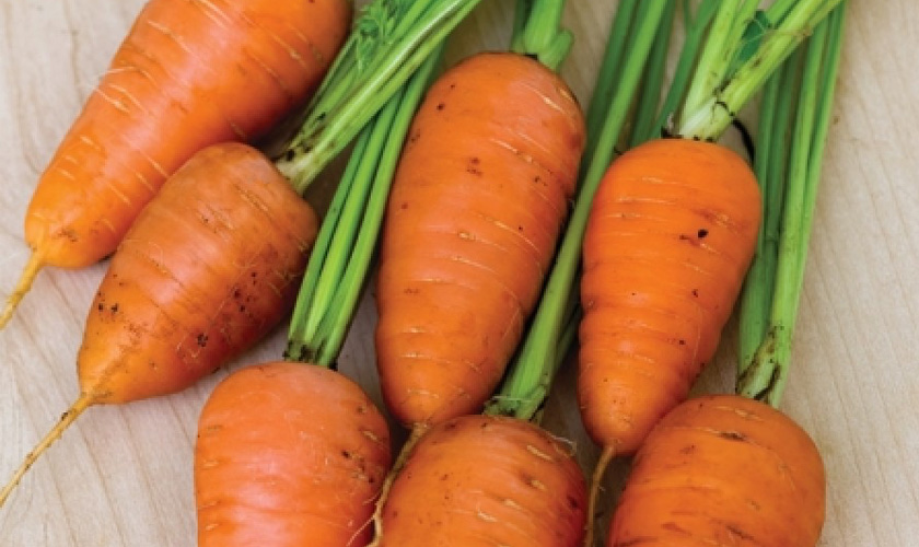 морковмелк-3.jpg