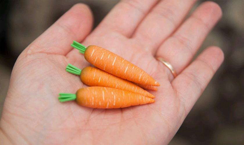 Почему вырастает мелкая морковь?
