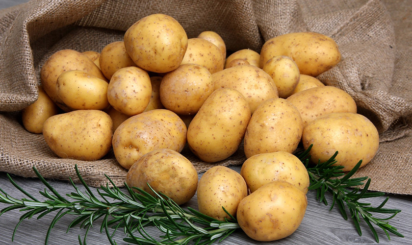 картофель.jpg