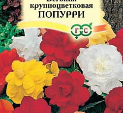 Бегония Клубневая Попурри F1