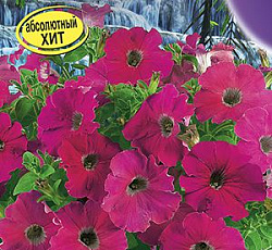 Петуния Водопадия фуксия F1 (многоцветковая)