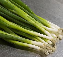 Лук батун Белое перо (на зелень)