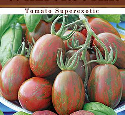 Томат Суперэкзотик