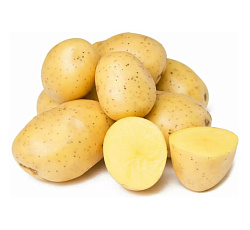 Картофель Ривьера (ЭЛИТА)