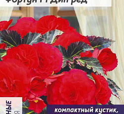 Бегония клубневая Фортун Дип ред F1