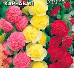 Шток-роза Карнавал