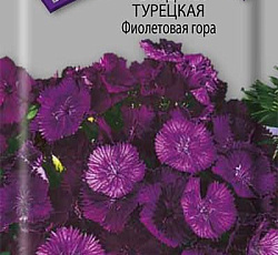 Гвоздика турецкая Фиолетовая гора