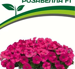 Петуния Итальянка Розабелла F1 многоцветковая каскадная