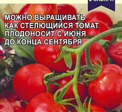 Томат Запуняка