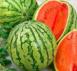 Арбуз Астраханский