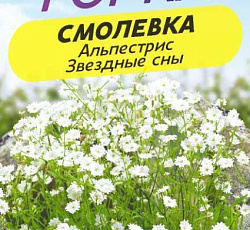 Смолевка Альпестрис Звездные сны