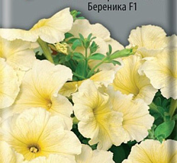 Петуния многоцветковая Береника F1
