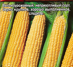 Кукуруза Золотой початок (сахарная)