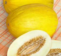 Дыня Медовая гигантская F1