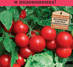 Томат Красная россыпь