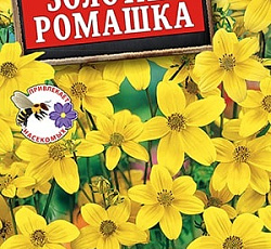 Биденс Золотая ромашка