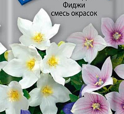 Платикодон Фиджи Смесь окрасок