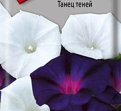 Ипомея Танец теней