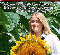 Подсолнечник Щелкунчик