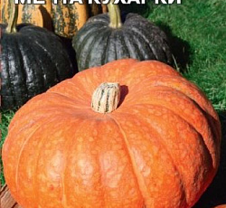 Тыква Мечта кухарки