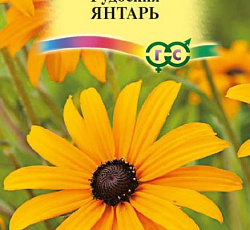 Рудбекия Янтарь