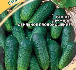 Огурец Зеленые гномики F1