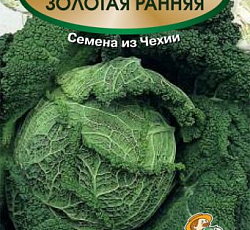 Капуста савойская Золотая ранняя