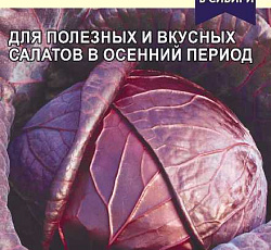 Капуста краснокочанная Топаз