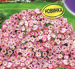 Петуния Джоконда Нежность F1